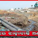 ରାଜଧାନୀରେ ମଶାଙ୍କ ଉତ୍ପାତ: ବିଏମ୍‌ସି ସବୁ ଜାଣି ଅଜଣା