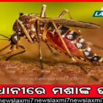 ସ୍ବୟଂଶାସିତ ନା ସରକାରୀ ମହାବିଦ୍ୟାଳୟ? ଧର୍ମେନ୍ଦ୍ର, ତୁଷାରଙ୍କ ଭିନ୍ନମତ