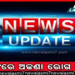 ଶ୍ରୀମନ୍ଦିର ପରିକ୍ରମା ପ୍ରକଳ୍ପ: ସରୁନି କାମ, ବଢ଼ୁଛି ଯନ୍ତ୍ରଣା