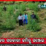 ଅର୍ଚ୍ଚନା ନାଗ ମାମଲା: ଆଜି ପୁଣି ଇଡିରେ ହାଜର ହୋଇପାରନ୍ତି ଶ୍ରଦ୍ଧାଞ୍ଜଳି