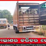 ଧର୍ମେନ୍ଦ୍ରଙ୍କ ସହ ବଲିଉଡ ସିନେମାରେ ଅଭିନୟ କରିବେ ଅମିତାଭ ବଚନଙ୍କ ନାତି । ଜାଣନ୍ତୁ କେବେ ହେଉଛି ରିଲିଜ