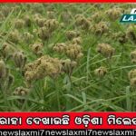 ବିଜେଡି ପ୍ରତିଷ୍ଠା ଦିବସ ସ୍ବତନ୍ତ୍ର: ବୟସ ବଢ଼ୁଛି, ତଥାପି ଅପରାଜେୟ