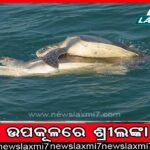 ୩ ବର୍ଷ ହେଲା ପଡ଼ିରହିଛି ଅନୁଦାନ, ଫେରିଯିବ ୩.୭୭ କୋଟି !