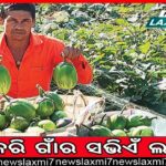 ହାଇକୋର୍ଟ ବେଞ୍ଚ୍‌ ପ୍ରସଙ୍ଗରେ ସୁପ୍ରିମକୋର୍ଟଙ୍କ ରାୟ: ରିଭ୍ୟୁ ପିଟିସନ୍ ଦାଖଲ ପାଇଁ ସଜବାଜ