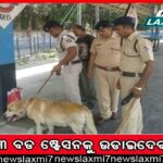 ପୁଡ଼ୁଚେରି ସମୁଦ୍ରରେ ଓଡ଼ିଶାର ସ୍କୁବା ଡାଇଭର୍‌