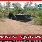 ଅଭିନେତ୍ରୀ ଝରଣା ଦାସଙ୍କ ବିୟୋଗରେ ମୁଖ୍ୟମନ୍ତ୍ରୀଙ୍କ ଶୋକ: ରାଷ୍ଟ୍ରୀୟ ମର୍ଯ୍ୟାଦା ସହ କରାଯିବ ଶେଷକୃତ୍ୟ