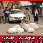 ମର୍ମନ୍ତୁଦ ସଡ଼କ ଦୁର୍ଘଟଣା, ଚାଲିଗଲା ବୃଦ୍ଧ ଦମ୍ପତ୍ତିଙ୍କ ଜୀବନ