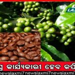 କାମଚଳାରେ ଚାଲିଛି ସ୍କୁଲ୍‌: ୧୯ ହଜାର ସ୍କୁଲ୍‌ରେ ନାହାନ୍ତି ସ୍ଥାୟୀ ପ୍ରଧାନଶିକ୍ଷକ