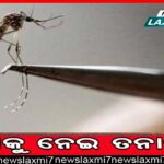 ପାରାଦୀପ ବନ୍ଦର ଆମ ଅର୍ଥନୀତିର ଜୀବନରେଖା: ମୁଖ୍ୟମନ୍ତ୍ରୀ