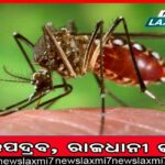 ୨୦୦ ଶିକ୍ଷକ ନିଖୋଜ, ଧରାଛୁଆଁ ଦେଉନାହାନ୍ତି କି ସ୍କୁଲ ଆସୁନାହାନ୍ତି