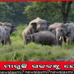 କେୟାରଏଜ୍ ରିପୋର୍ଟ: ସାମଗ୍ରିକ ପ୍ରଦର୍ଶନରେ ଓଡ଼ିଶା ସ୍ଥାନ ୧୧