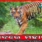 ହିନ୍ଦୁ ବିବାହ ଆଇନ ଅନୁସାରେ ଅନ୍ତର୍ଧର୍ମୀୟ ବିବାହ ଅବୈଧ: ସୁପ୍ରିମ୍‌କୋର୍ଟ