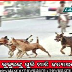 ଟ୍ରେନ୍‌ ପ୍ଲାଟ୍‌ଫର୍ମରେ ବୃଦ୍ଧଙ୍କ କାନ ଓ ମୁହଁ କାମୁଡ଼ି ଛିଡ଼ାଇ ପକାଇଲେ ଯୁବକ