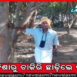 ଡିମ୍ପଲ ଯାଦବଙ୍କ ବିରୋଧରେ ଆପତ୍ତିଜନକ ବୟାନ: ୟୁପି ବିଜେପି ଯୁବମୋର୍ଚ୍ଚା ନେତ୍ରୀ ରିଚା ରାଜପୁତଙ୍କ ବିରୋଧରେ ଏଫ୍‌ଆଇଆର