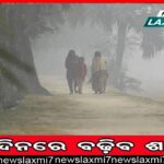 ପ୍ରଶାସନ ଛତ୍ରଛାୟାରେ ମାଳ ମାଳ ‌ପୋଡ଼ା ଇଟାଭାଟି!