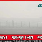 ଡଙ୍ଗରିଆ କନ୍ଧଙ୍କ ଶାଲ୍‌, ଲାଞ୍ଜିଆ ସୌରାଙ୍କ କାନ୍ଥଚିତ୍ରକୁ ଜିଆଇ ଟ୍ୟାଗ୍‌ ଶୀଘ୍ର