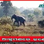 ୨୭ରୁ ‘ଶ୍ରୀକ୍ଷେତ୍ର ମହୋତ୍ସବ’