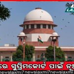 ୨୦୨୪ ନିର୍ବାଚନ ପୂର୍ବରୁ ବିଜେଡିର ସାଙ୍ଗଠନିକ ପ୍ରସ୍ତୁତି: ବହୁ ନେତାଙ୍କୁ ସନ୍ତୁଷ୍ଟ କରିବାକୁ ଉଦ୍ୟମ