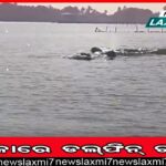 ବିଲାତି ଓଡ଼ିଶାରେ ତାଲା ଝୁଲୁଛି, ଏବେ ଖତ ଖାଉଛି ଯନ୍ତ୍ରାଂଶ