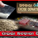 ଉତ୍କଳ ସଂସ୍କୃତି ବିଶ୍ବବିଦ୍ୟାଳୟର ପ୍ରତିଷ୍ଠା ଦିବସ: ଭାସ୍କର୍ଯ୍ୟ ଉଦ୍ୟାନ ଉଦ୍‌ଘାଟିତ