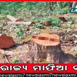 ବ୍ରାଜିଲ୍‌ର ରାଷ୍ଟ୍ରପତି ଭବନ, କଂଗ୍ରେସ ଓ ସୁପ୍ରିମ୍‌ କୋର୍ଟରେ ଧସେଇ ପଶିଲେ ପୂର୍ବତନ ରାଷ୍ଟ୍ରପତି ବୋଲ୍‌ସୋନାରୋଙ୍କ ୩୦୦୦ ସମର୍ଥକ