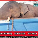 ପ୍ରବାସୀ ଭାରତୀୟ ହେଉଛନ୍ତି ଭାରତୀୟ ସଭ୍ୟତାର ଅବିଚ୍ଛେଦ୍ୟ ଅଙ୍ଗ: ଧର୍ମେନ୍ଦ୍ର ପ୍ରଧାନ