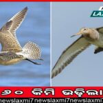 ୧୨୨ ବର୍ଷରେ ସବୁଠୁ ଗରମ ଡିସେମ୍ବର