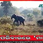 ପ୍ରତିଶୋଧ ନେଲା ରୁଷ୍‌: ରକେଟ୍‌ ଆକ୍ରମଣରେ ୬ ଶହ ୟୁକ୍ରେନୀୟ ସୈନିକ ନିହତ