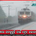 ଷ୍ଟେଟ୍‌ ବ୍ୟାଙ୍କ, ଏଲ୍‌ଆଇସିକୁ ମିଳିବେ ନୂଆ ମୁଖ୍ୟ