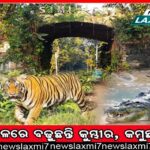 ନୋଟ୍‌ ଛପା ଦୁର୍ନୀତି: ପୂର୍ବତନ ଅର୍ଥ ସଚିବଙ୍କ ନାଁରେ ସିବିଆଇ ମାମଲା
