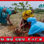 ଅଧ୍ୟାପନା ପାଇଁ ବାଇଡେନ ବର୍ଷକୁ ୧ ନିୟୁତ ଡଲାର ନେଇଛନ୍ତି, କିନ୍ତୁ ଦିନଟିଏ କ୍ଲାସ୍ କରିନାହାନ୍ତି