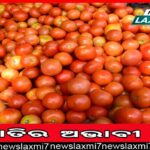 ଶେଷ ପର୍ଯ୍ୟାୟରେ ‘ଭାରତ ଯୋଡ଼ୋ’ ଯାତ୍ରା; ପ୍ରଥମ ଥର ପାଇଁ ଜ୍ୟାକେଟ୍‌ ପିନ୍ଧିଥିବାର ନଜର ଆସି‌ଲେ ରାହୁଲ