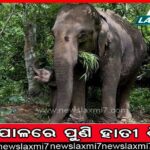 ଭୁବନେଶ୍ବରରେ ପହଞ୍ଚିଲେ ରାଷ୍ଟ୍ରପତି: ଜ୍ଞାନପ୍ରଭା ମିଶନର ପ୍ରତିଷ୍ଠା ଦିବସ ସମାରୋହରେ ଯୋଗ ଦେବେ