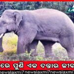 ପୈଠ ହୋଇପାରୁ ନାହିଁ ବିଦ୍ୟୁତ ବିଲ୍, ବସୁଧା ଯୋଜନା ଠପ୍