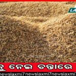 ମହେନ୍ଦ୍ରଗିରିରେ ଶିବରାତ୍ରି, ପାଦଗୟାରେ ପିଣ୍ଡଦାନ ପାଇଁ ଶ୍ରଦ୍ଧାଳୁଙ୍କ ମଧ୍ୟରେ ଉତ୍ସାହ