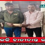 ୨୧ରୁ ବିଧାନସଭା: ରଣନୀତି ପ୍ରସ୍ତୁତିରେ ତିନି ଦଳ