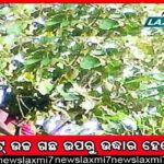 ପଦ୍ମପୁରକୁ ଜିଲ୍ଲା ପ୍ରତିଶ୍ରୁତି ଏବେ ପ୍ରତାରଣା ସଦୃଶ: ଧର୍ମେନ୍ଦ୍ର