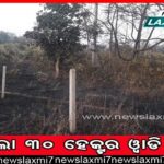 ଗୋପାଳକୁ ପାଗଳ ପ୍ରମାଣ କରିବା ପାଇଁ ବିକଳ: ନରସିଂହ