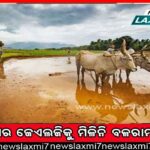 ଧାନ ପରିବହନ ଖର୍ଚ୍ଚ ସୂଚନା ଦେଲେନି ଯୋଗାଣ ମନ୍ତ୍ରୀ