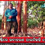 ୭ ବର୍ଷ ପରେ ବାଂଲାଦେଶ ଫେରିଲେ ମିର୍ଜାନୁର