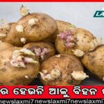 ଧାନକୁ ନେଇ ଚିନ୍ତାରେ ଚାଷୀ