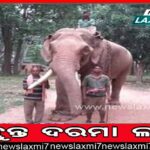 ଫିରିଙ୍ଗିଆ ବ୍ଲକ ବିଜୁ କଲ୍ୟାଣ ମଣ୍ଡପ ରେ ଦକ୍ଷତା ବିକାଶ କର୍ମଶାଳା ଅନୁଷ୍ଠିତ l