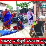 ମହାନଦୀ ଗଣ୍ଡରେ ଚାରି ରାଜ୍ୟର ନୂଆ ବଂଶଜ: ଖେଳୁଛନ୍ତି ଜୟପୁର, ଲକ୍ଷ୍ନୌ, ଇନ୍ଦୋର ଘଡ଼ିଆଳ