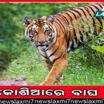 ଆରମ୍ଭ ହେଲା ‘ସୁନୋ ଶ୍ରୀରାମ କାହାଣୀ’