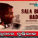 ମୂଳ ବୁଡ଼ାଇଦେଲା ପରିବା ଚାଷ: ଉପଯୁକ୍ତ ଦର ମିଳୁନି, ନିରାଶ ଚାଷୀକୂଳ