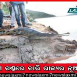 ମେ’ ଶେଷ ସୁଦ୍ଧା ଏଲୋପ୍ୟାଥିକ ଡାକ୍ତରଙ୍କ ତଥ୍ୟ ଅପଲୋଡ ପାଇଁ ନିର୍ଦ୍ଦେଶ