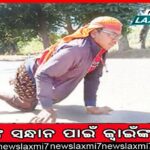 ସରକାରକା ମାଲ ଦରିଆ ମେ ଡାଲ: ରାତିରେ ନୁହେଁ, ଦିନରେ ଜଳୁଛି ଆଲୁଅ