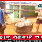 ମୂଳ ବୁଡ଼ାଇଦେଲା ପରିବା ଚାଷ: ଉପଯୁକ୍ତ ଦର ମିଳୁନି, ନିରାଶ ଚାଷୀକୂଳ