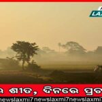 ଜୟପୁରରେ ଶଙ୍କରାଚାର୍ଯ୍ୟଙ୍କ ହିନ୍ଦୁରାଷ୍ଟ୍ର ଧର୍ମସଭା: ‘ଏକ ଟଙ୍କା, ଏକ ଘଣ୍ଟା ଦାନ କରନ୍ତୁ ହିନ୍ଦୁ’