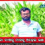 ଧ୍ବଂସ ମୁଖରେ ହଜାରେ ବର୍ଷର ଦୁଃଖୀଶ୍ୟାମ ଛତା